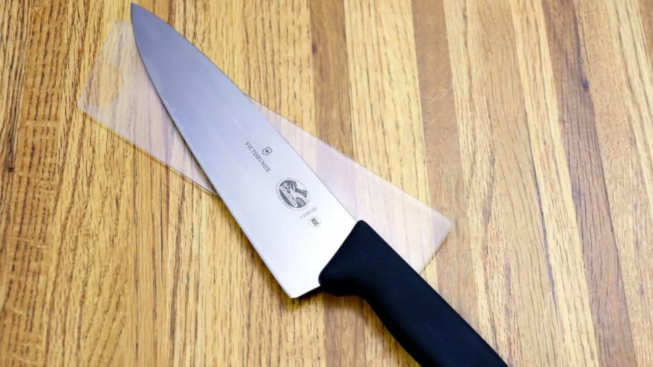 8 Inch vs 9 Inch Chef Knife [Which One to Choose?]