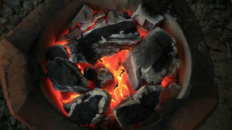 Can You Use Charcoal Briquettes in A Big Green Egg?